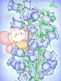 风铃草的鸣夏