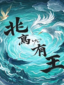 北冥有王
