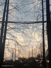 最后的備忘錄
