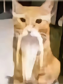 牢语