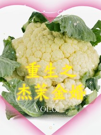 （永泊镇）重生之杰茉金婚