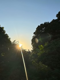 青春滋味