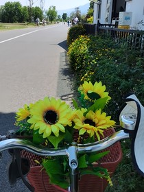 随笔一纪