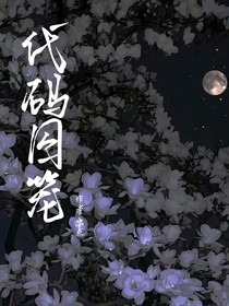 代码囚笼