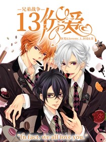 兄弟战争：13份爱