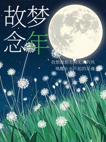 故梦念年