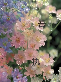吾执