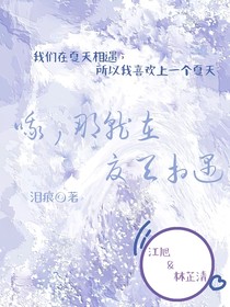 哦，那就等夏天相遇吧