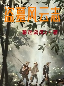 盗墓风云志