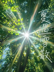 夏遇雪散