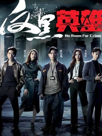 反黑英雄