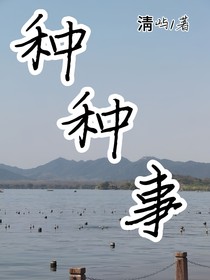 种种事