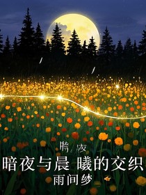 暗夜与晨曦的交织