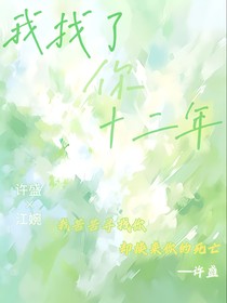 我找了你十二年