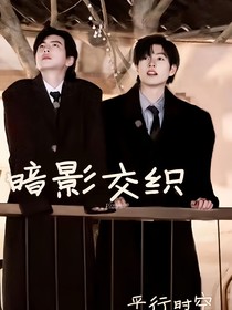 暗影交织（南北）