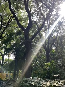 春去往如梦一场