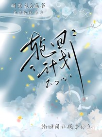 轮回计划