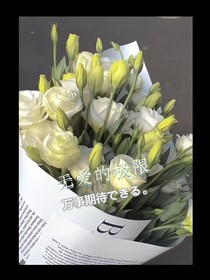 无爱的极限