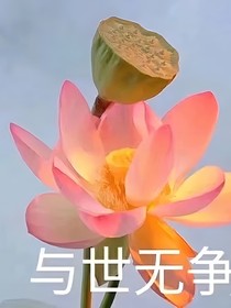 綜影視：花團錦簇