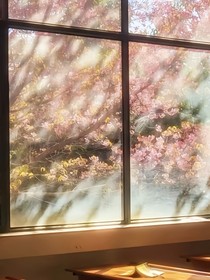 第七页的盛夏情书
