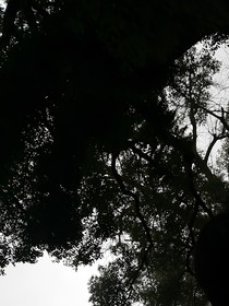 随便写的哈爱看不看