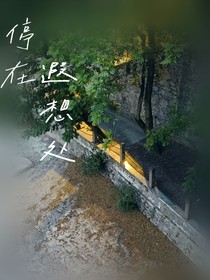 停在遐想处