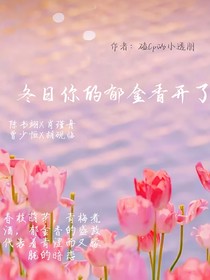 冬日你的郁金香開了