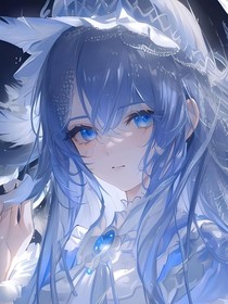 武魂殿：无月双霜