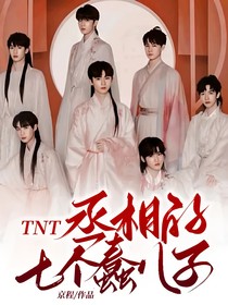 TNT—丞相的七个蠢儿子