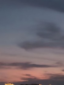 鈴蘭，茉莉
