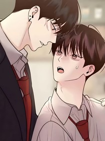 旭日琛光