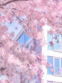愉悅至上