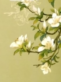金石志