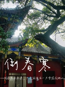 倒春寒（柳逸云沈素槿）