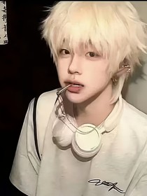 雅家小少爷