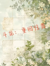 斗龙：重回往昔
