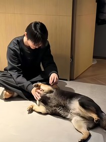 马嘉祺梦女文章