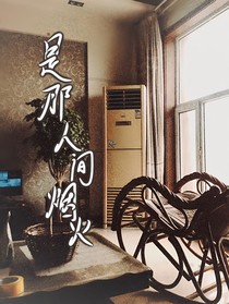 将会是那人间烟火