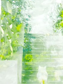 花恬錦夏
