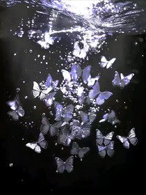 遗憾……但又没有后悔药