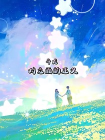 斗龙之对立面的正义