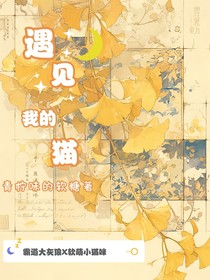 遇见我的猫