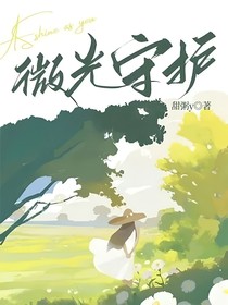 微光守护