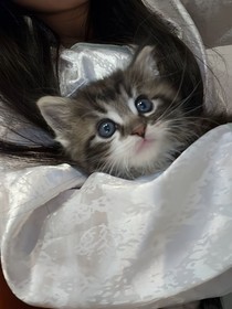 等愛醒等夢歸