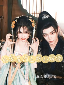 永夜星河之林小婉传
