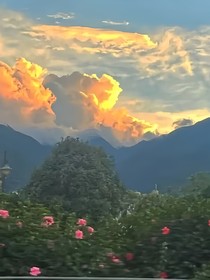 溺春朝