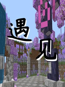 我的世界，遇见