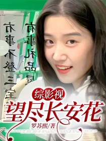 综影视：望尽长安花