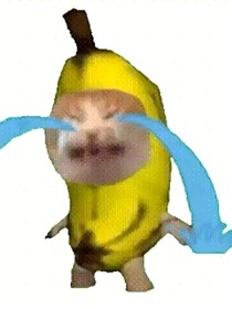 日记：日常发疯