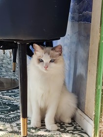 浅染年华